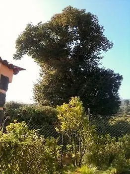 Holiday home Rural Las Llanadas Los Realejos