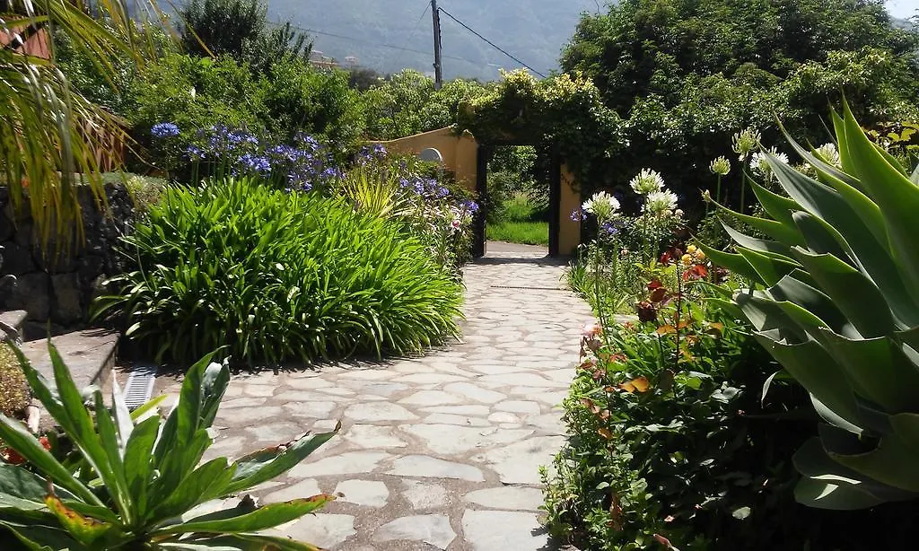 Rural Las Llanadas Los Realejos Tatil Evi